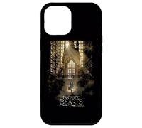 Carcasa para iPhone 12 Pro MAX Fantastic Beasts and Where to Find Them Poster
