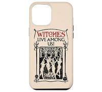 Carcasa para iPhone 12 Pro MAX Fantastic Beasts and Where to Find Them Witches Among Us