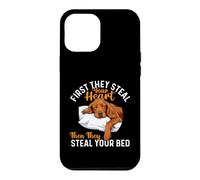 Carcasa para iPhone 12 Pro MAX First They Steal Your Heart - Setter irlandés Red Setter Dad