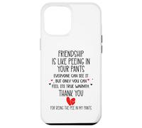 Carcasa para iPhone 12 Pro MAX Friendship is Like Peeing In Your Pants Best Friend Coworker