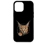 Carcasa para iPhone 12 Pro MAX Gráfico de Animal Caracal Wild Cat Breaking Through Torn Hole