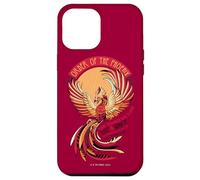 Carcasa para iPhone 12 Pro MAX Harry Potter Mosaic Order of The Phoenix