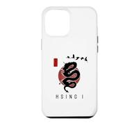 Carcasa para iPhone 12 Pro MAX Hsing I For Beginners/Hsing I Classic Caligrafía Diseño