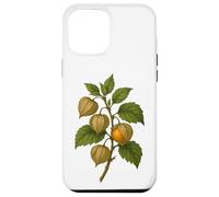 Carcasa para iPhone 12 Pro MAX Impresión artística Vintage botánica Physalis Golden Berry