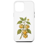 Carcasa para iPhone 12 Pro MAX Impresión artística Vintage botánica Physalis Nature Fruit