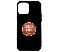 Carcasa para iPhone 12 Pro MAX Indiana Dunes State and National Park Indiana IN Nature