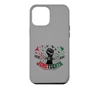 Carcasa para iPhone 12 Pro MAX Juneteenth Freedom Day Emancipation Fist