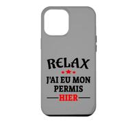 Carcasa para iPhone 12 Pro MAX Regalo Licencia de Conducir Código de Carretera Humor