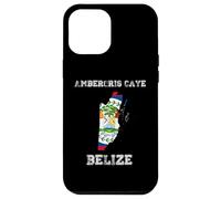 Carcasa para iPhone 12 Pro MAX Retro Ambergris Caye Belice Bandera de Belice Envejecida