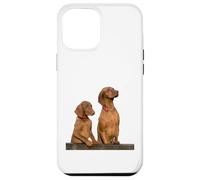 Carcasa para iPhone 12 Pro MAX Vizsla Perro Raza Hermoso Húngaro Vizsla Perro