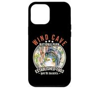 Carcasa para iPhone 12 Pro MAX Wind Cave National Park | South Dakota
