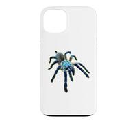 Carcasa para iPhone 13 Araña Tarántula Babuino Azul Isla Socotra (M. balfouri)