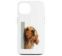 Carcasa para iPhone 13 Curioso Spaniel Peeking Dog Art