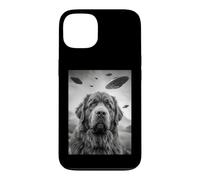 Carcasa para iPhone 13 Newfoundland UFO