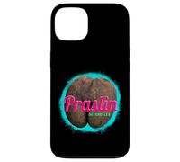 Carcasa para iPhone 13 Praslin diseño Vintage Isla Tropical Seychelles Souvenir