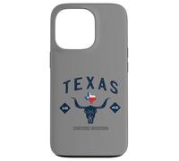 Carcasa para iPhone 13 Pro Abanico Vintage de Texas 1845, Estados Unidos
