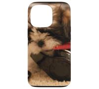 Carcasa para iPhone 13 Pro Amante de los Perros de la música - Amor al Primer BOC