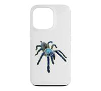 Carcasa para iPhone 13 Pro Araña Tarántula Babuino Azul Isla Socotra (M. balfouri)