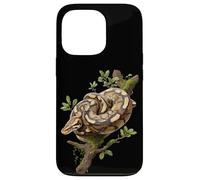 Carcasa para iPhone 13 Pro Ball Python Gafas De Sol Amantes Reptiles Serpientes