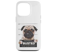 Carcasa para iPhone 13 Pro Busted Pug Mugshot Funny Dog Humor