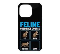 Carcasa para iPhone 13 Pro Curso de obediencia Felina Entrenamiento de Gatos Divertidos