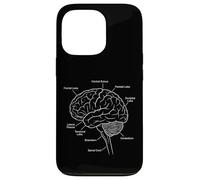 Carcasa para iPhone 13 Pro Diagrama etiquetado de neurociencia anatomía del Cerebro Humano