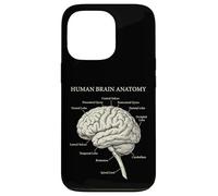 Carcasa para iPhone 13 Pro Diagrama etiquetado de neurociencia de anatomía del Cerebro Humano