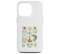 Carcasa para iPhone 13 Pro Ernst Haeckel Aquatic Life - Arte Vintage de biología Marina