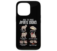 Carcasa para iPhone 13 Pro Funny Math Infinite Energy Cat E Ingeniería Mecánica