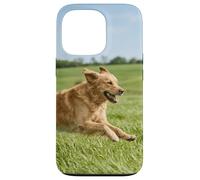 Carcasa para iPhone 13 Pro Golden Retriever Perro Corriendo Campo Abierto Soleado Escena Al