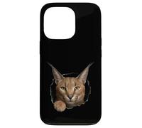 Carcasa para iPhone 13 Pro Gráfico de Animal Caracal Wild Cat Breaking Through Torn Hole