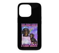 Carcasa para iPhone 13 Pro IDK How Much Longer Slay Black Long Haired Dachshund Lover