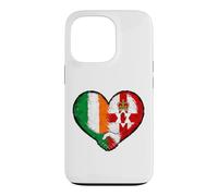 Carcasa para iPhone 13 Pro Irlanda Norte e Irlanda Amistad Corazón Gráfico