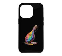 Carcasa para iPhone 13 Pro Laúd Colorido