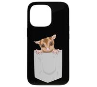 Carcasa para iPhone 13 Pro Lindo Deslizador de azúcar Regalo exótico Mascota Sugar Bear Sugar Glider