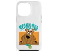 Carcasa para iPhone 13 Pro Lindo gráfico de Dibujos Animados Sonriente de Scoo