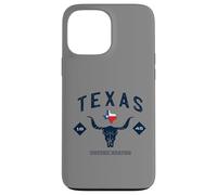 Carcasa para iPhone 13 Pro MAX Abanico Vintage de Texas 1845, Estados Unidos