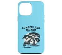 Carcasa para iPhone 13 Pro MAX Cumberland Island Georgia Puesta de Sol