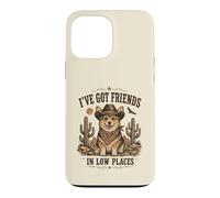 Carcasa para iPhone 13 Pro MAX Divertido Corgi Cowboy in Low Places Country Friends Dog Humor