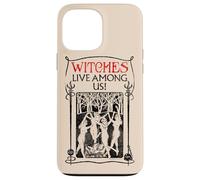 Carcasa para iPhone 13 Pro MAX Fantastic Beasts and Where to Find Them Witches Among Us