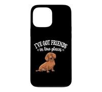 Carcasa para iPhone 13 Pro MAX Funny Mens Womens Girl Friends In Low Places Dachshund Lover