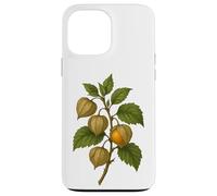 Carcasa para iPhone 13 Pro MAX Impresión artística Vintage botánica Physalis Golden Berry