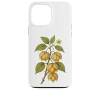 Carcasa para iPhone 13 Pro MAX Impresión artística Vintage botánica Physalis Nature Fruit