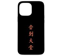 Carcasa para iPhone 13 Pro MAX Japón caligrafía China Zen Minimalista Espiritual Arte