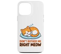 Carcasa para iPhone 13 Pro MAX No me molestes Miau Gato Durmiendo Meme