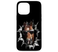 Carcasa para iPhone 13 Pro MAX Paseos A Caballo Divertidos Jinete Horse Riding El Establo
