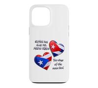 Carcasa para iPhone 13 Pro MAX Puerto Rico y Cuba Corazón, Dos Alas del Mismo Pájaro
