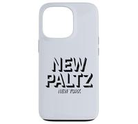 Carcasa para iPhone 13 Pro New Paltz Nueva York - New Paltz NY Block