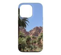 Carcasa para iPhone 13 Pro Obra de Arte del Paisaje del palmeral del Oasis del cañón del Desierto