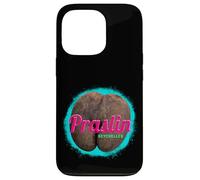 Carcasa para iPhone 13 Pro Praslin diseño Vintage Isla Tropical Seychelles Souvenir
